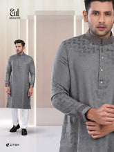 ARISTOCRAT PANJABI AP2134 - DTEX