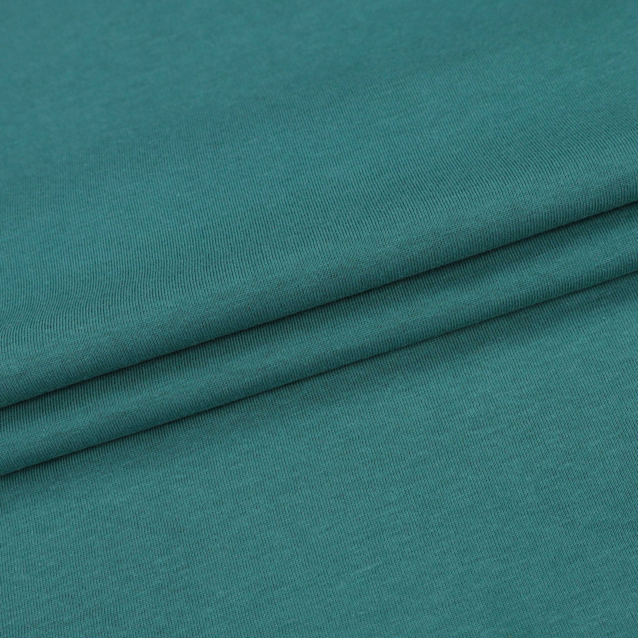 Premium Blank T-shirt - V316 - DTEX