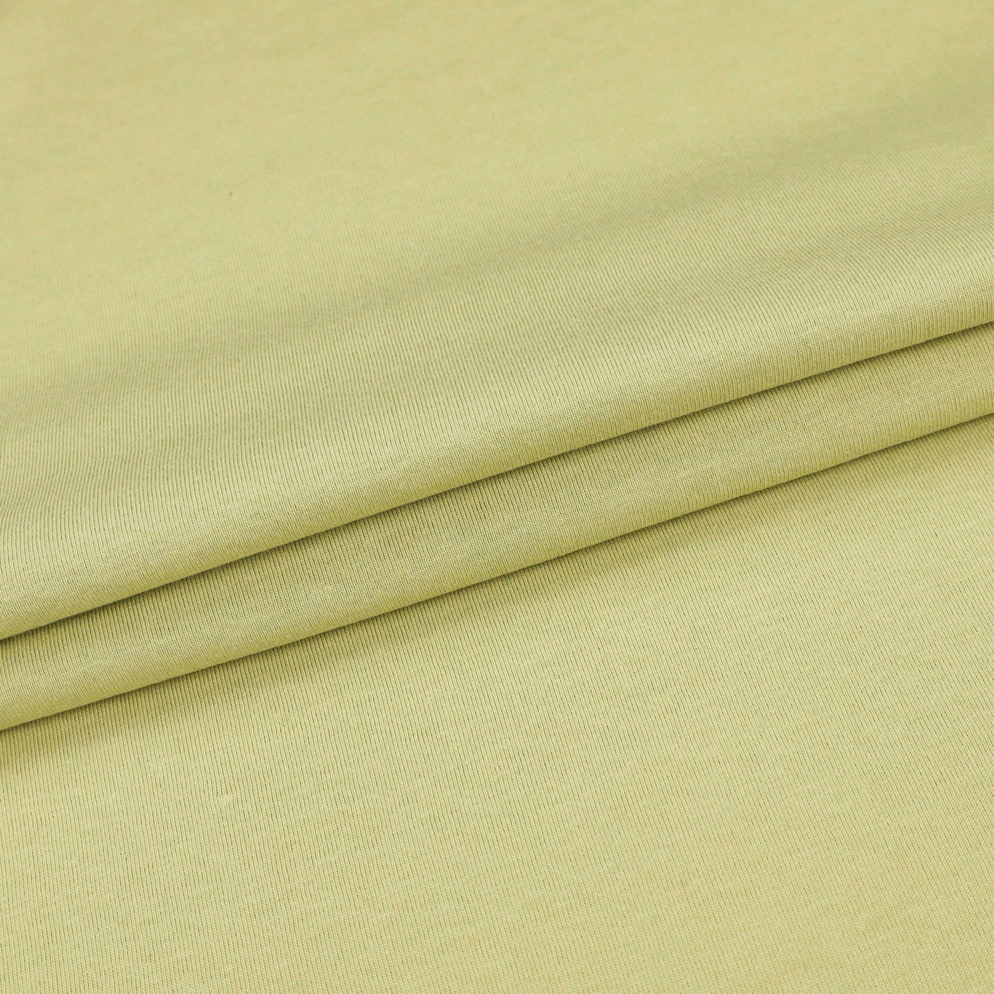 Premium Blank T-shirt - V317 - DTEX